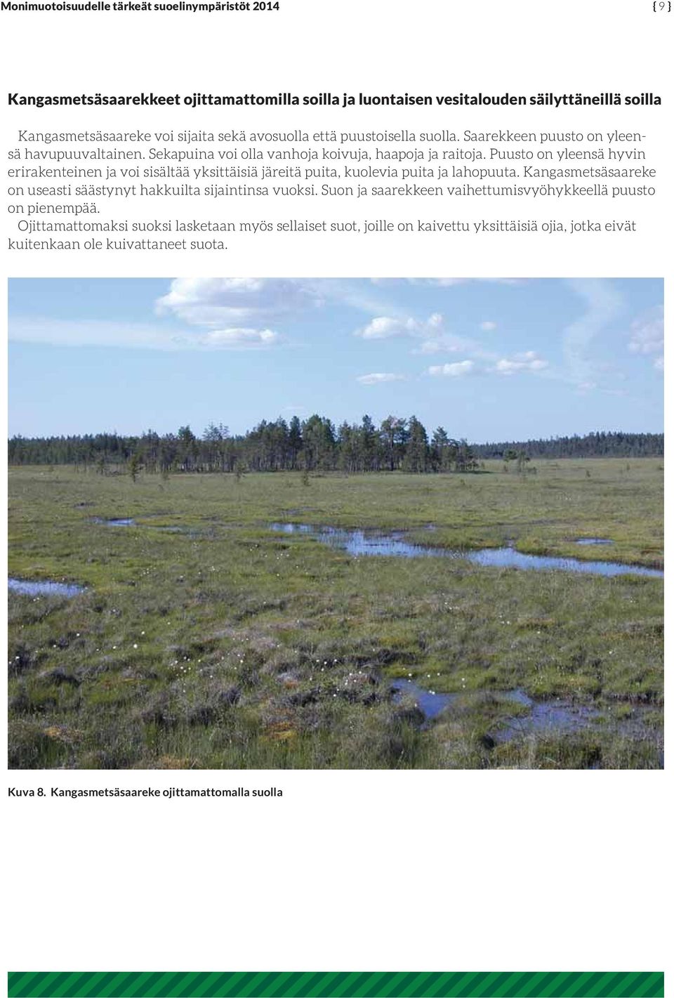 Puusto on yleensä hyvin erirakenteinen ja voi sisältää yksittäisiä järeitä puita, kuolevia puita ja lahopuuta. Kangasmetsäsaareke on useasti säästynyt hakkuilta sijaintinsa vuoksi.