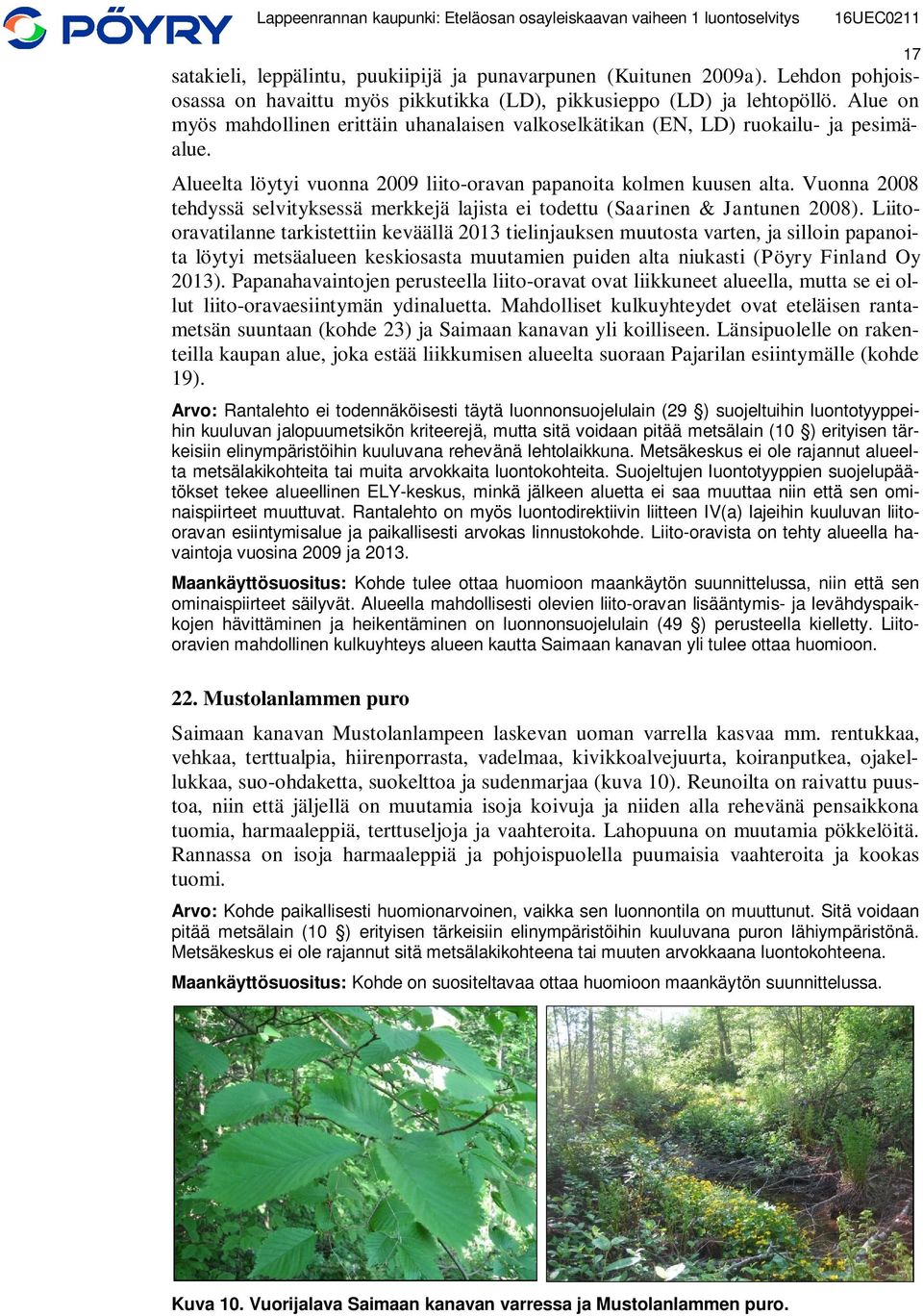 Vuonna 2008 tehdyssä selvityksessä merkkejä lajista ei todettu (Saarinen & Jantunen 2008).