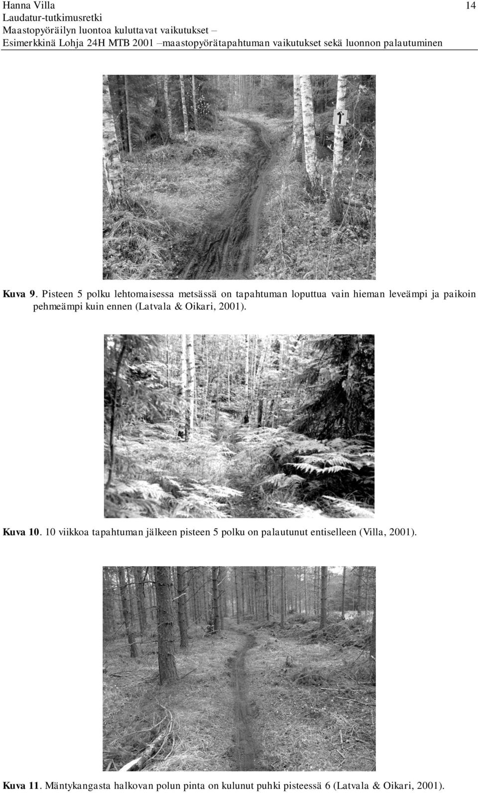 paikoin pehmeämpi kuin ennen (Latvala & Oikari, 2001). Kuva 10.