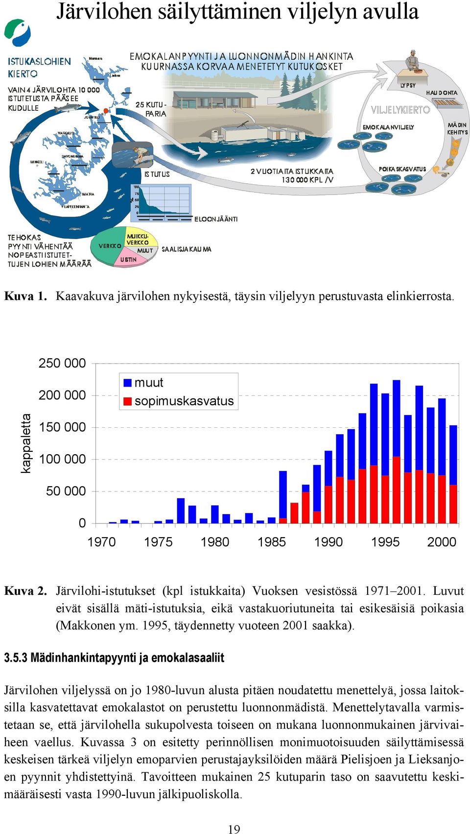 Luvut eivät sisällä mäti-istutuksia, eikä vastakuoriutuneita tai esikesäisiä poikasia (Makkonen ym. 1995,