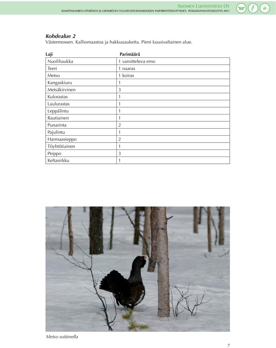 Kangaskiuru 1 Metsäkirvinen 3 Kulorastas 1 Laulurastas 1 Leppälintu 1 Rautiainen 1