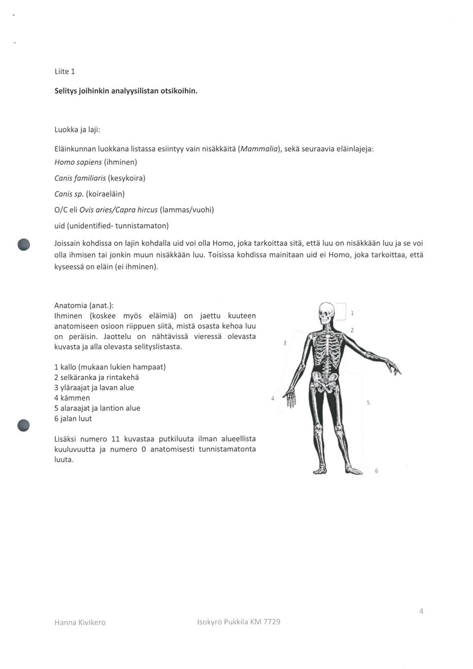 voi olla ihmisen tai jonkin muun nisäkkään luu. Toisissa kohd issa mainitaan uid ei, joka tarkoittaa, että kyseessä on eläin (ei ihminen). Anatomia (anat.