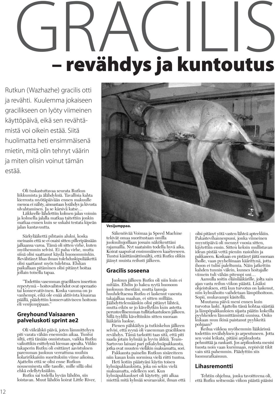 Tavallisia kahta kierrosta myötäpäivään ennen makuulle menoa ei nähty, ainoastaan lysähdys ja kivusta ulvahtaminen.