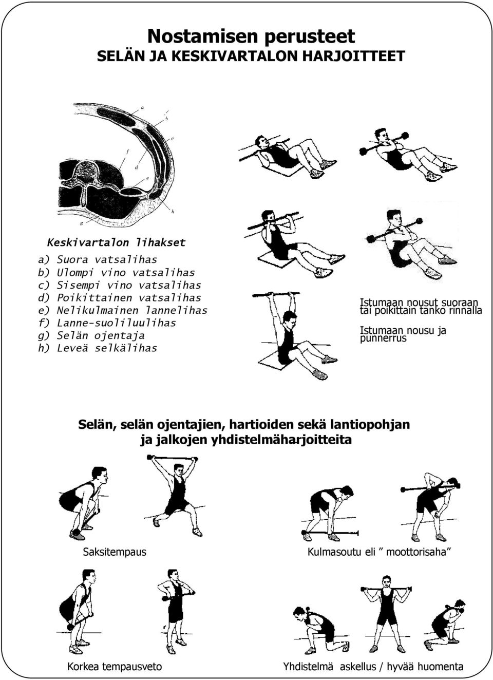 selkälihas Istumaan nousut suoraan tai poikittain tanko rinnalla Istumaan nousu ja punnerrus Selän, selän ojentajien, hartioiden sekä