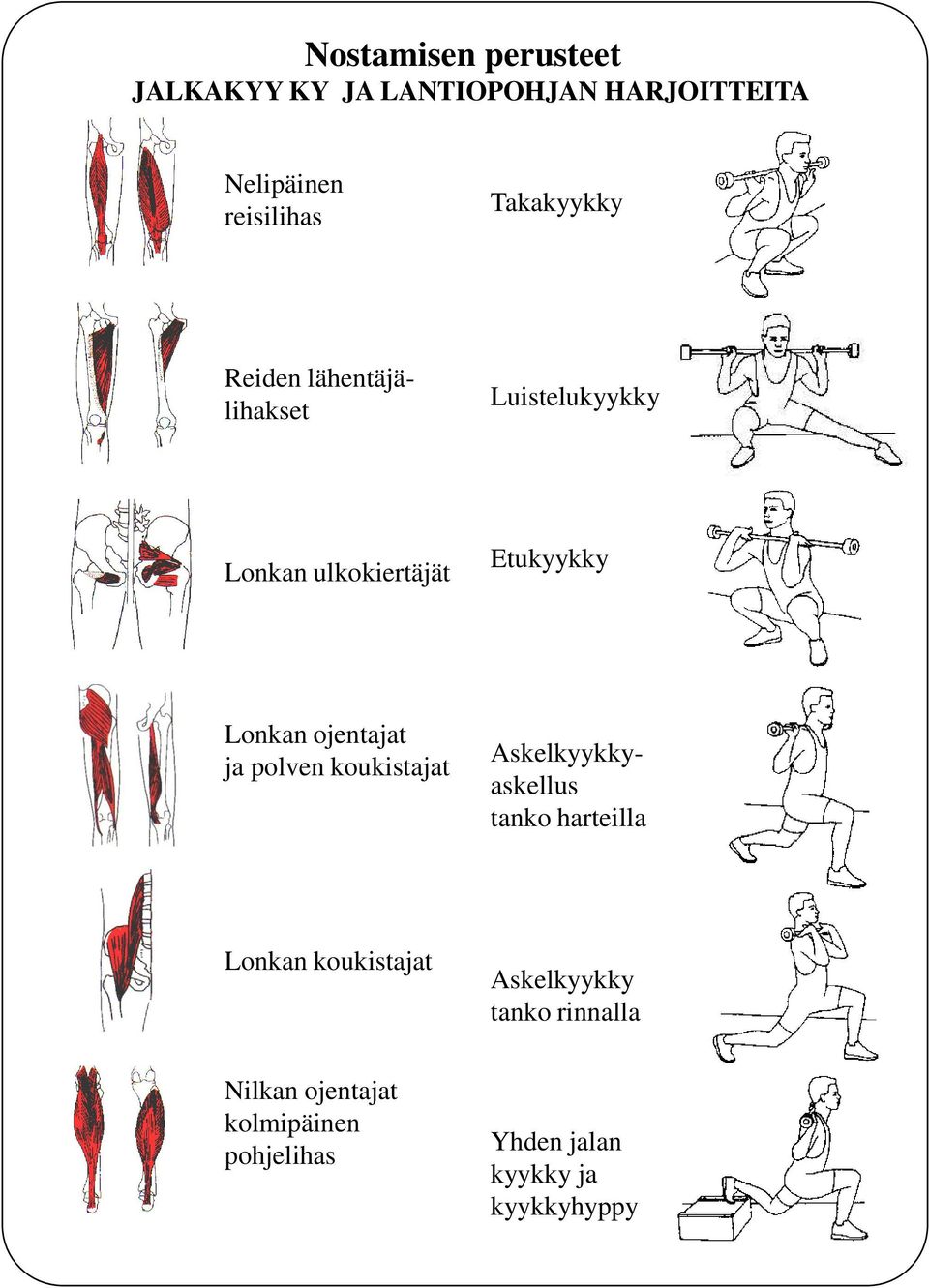 ojentajat ja polven koukistajat Askelkyykkyaskellus tanko harteilla Lonkan koukistajat