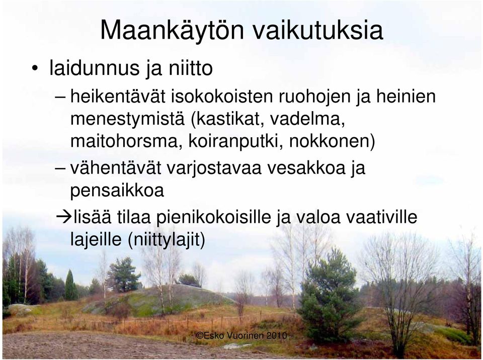 koiranputki, nokkonen) vähentävät varjostavaa vesakkoa ja pensaikkoa