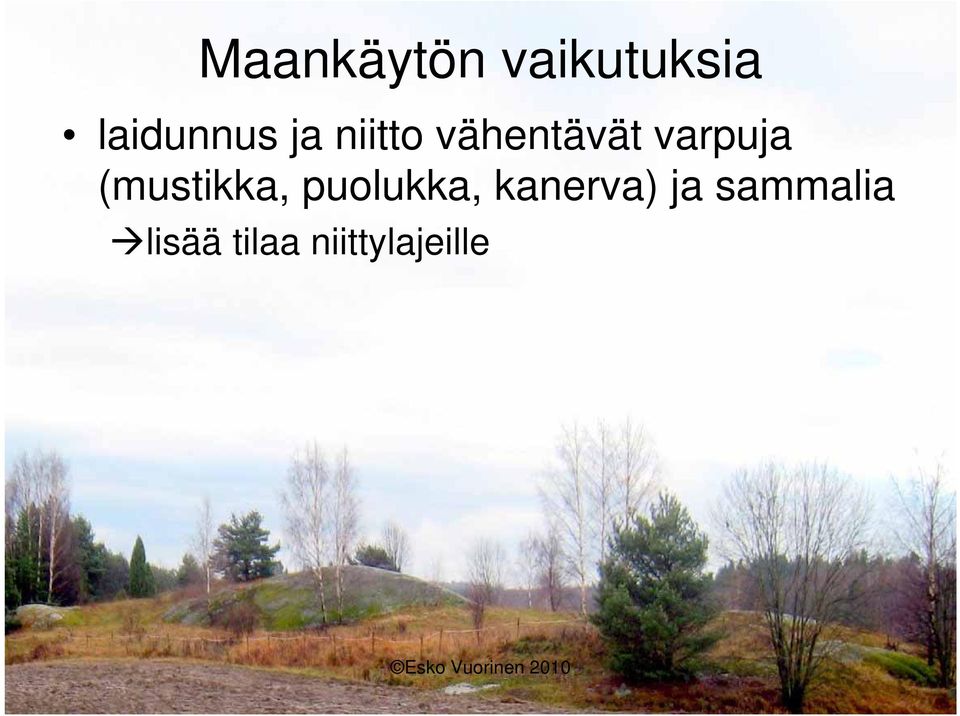 (mustikka, puolukka, kanerva) ja