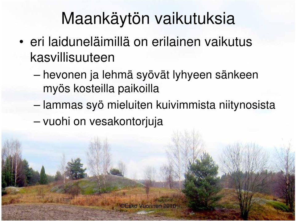syövät lyhyeen sänkeen myös kosteilla paikoilla