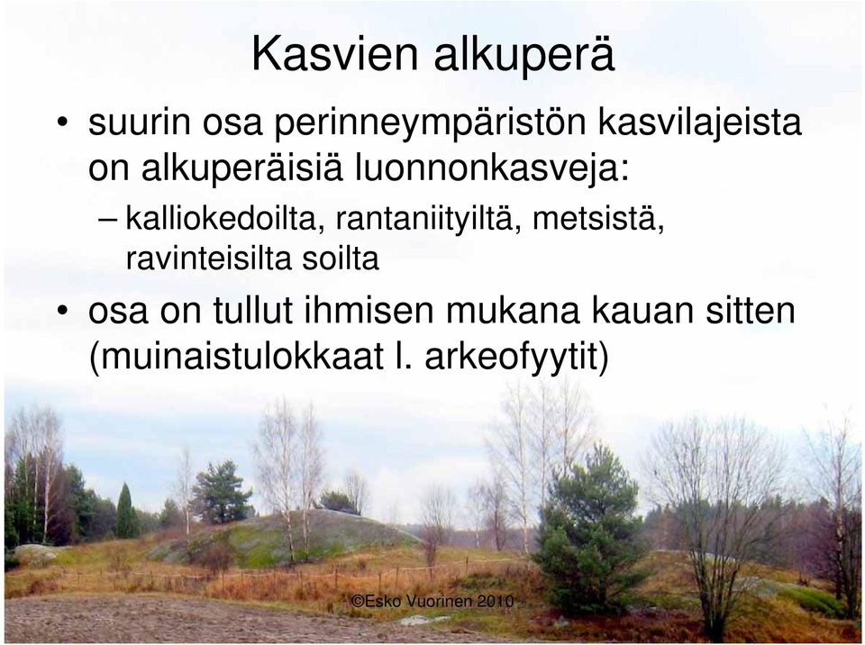 kalliokedoilta, rantaniityiltä, metsistä, ravinteisilta