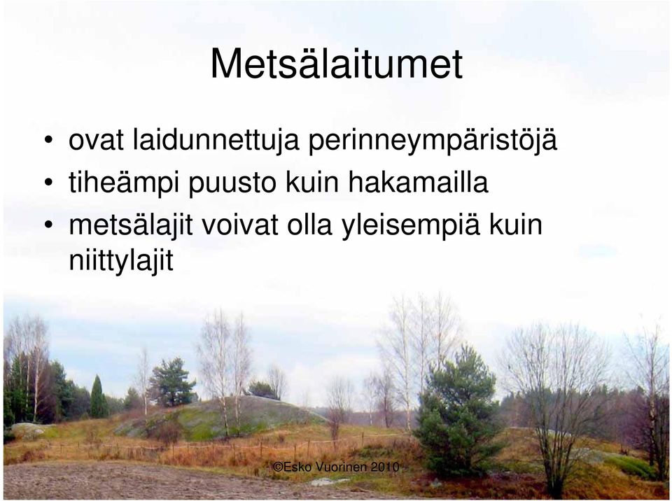 puusto kuin hakamailla metsälajit