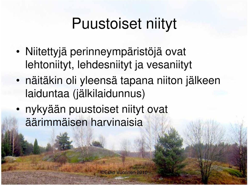 yleensä tapana niiton jälkeen laiduntaa
