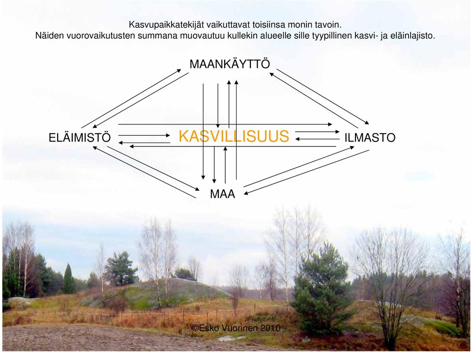 Näiden vuorovaikutusten summana muovautuu kullekin