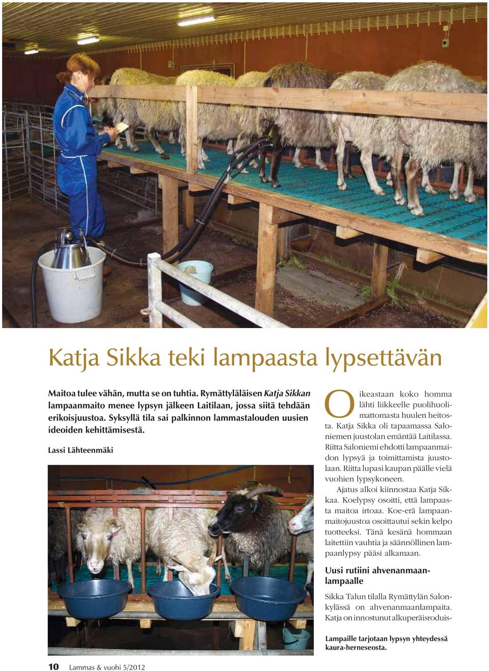 Katja Sikka oli tapaamassa Saloniemen juustolan emäntää Laitilassa. Riitta Saloniemi ehdotti lampaanmaidon lypsyä ja toimittamista juustolaan. Riitta lupasi kaupan päälle vielä vuohien lypsykoneen.