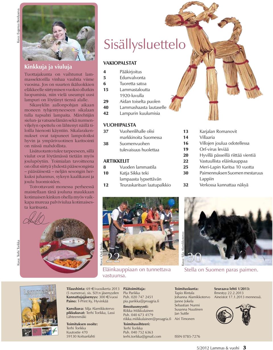 Sikasyklin aallonpohjan aikaan moneen tyhjentyneeseen sikalaan tulla tupsahti lampaita. Märehtijän sielun- ja vatsanelämän sekä nurmenviljelyn opettelu on lähtenyt näillä tiloilla hienosti käyntiin.