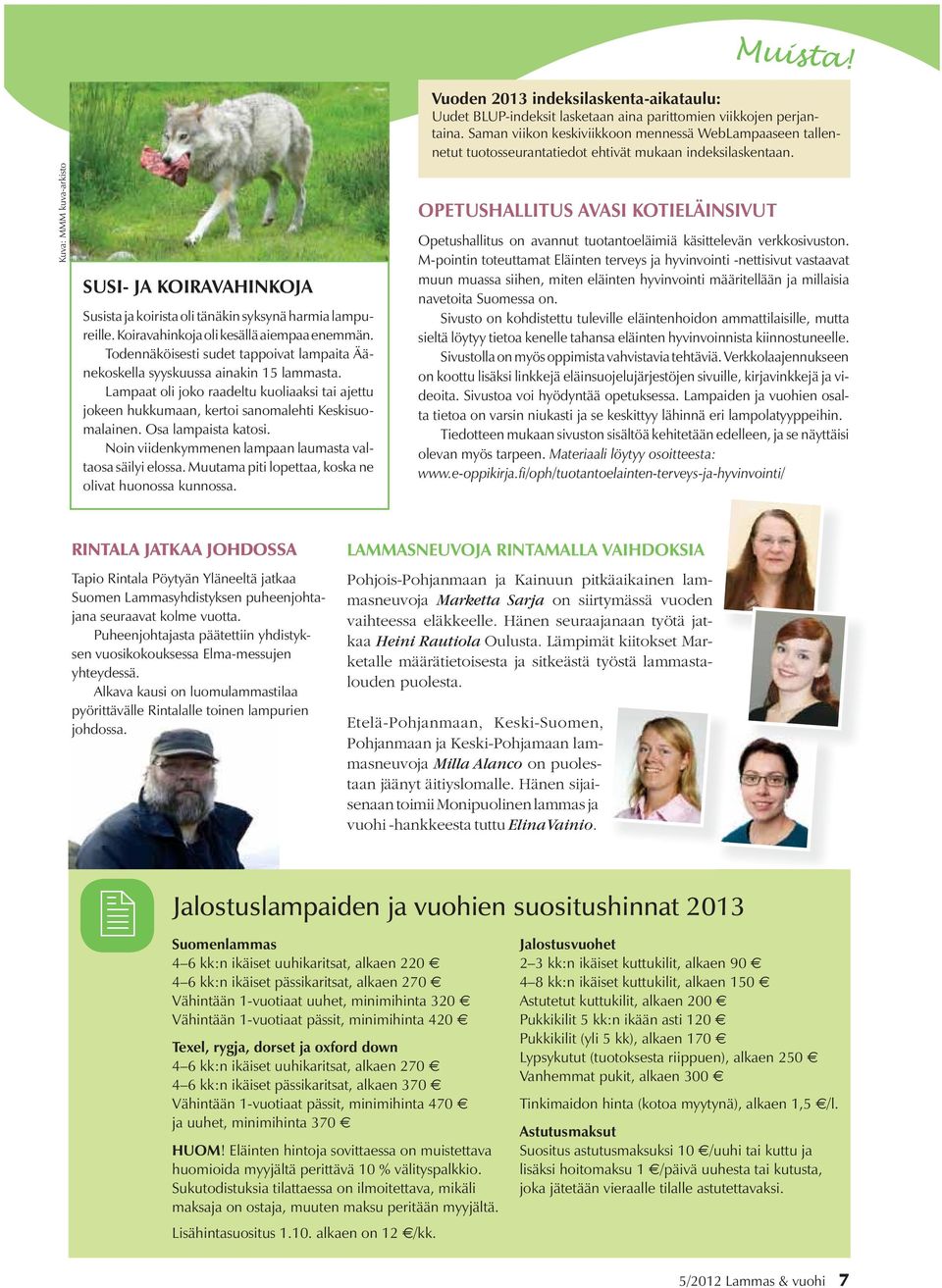 Osa lampaista katosi. Noin viidenkymmenen lampaan laumasta valtaosa säilyi elossa. Muutama piti lopettaa, koska ne olivat huonossa kunnossa.