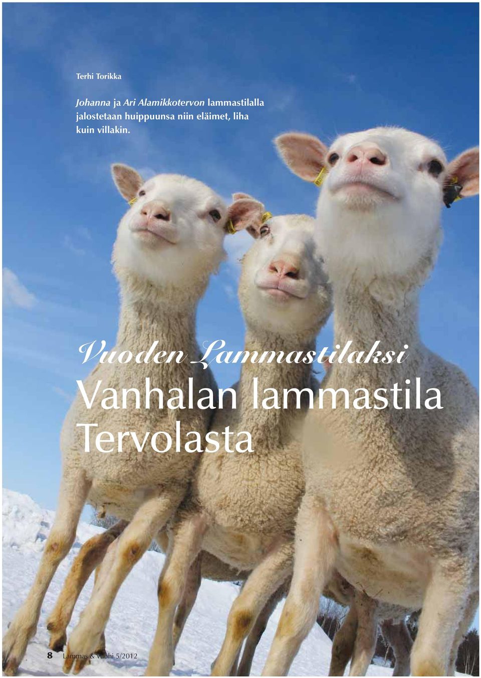 eläimet, liha kuin villakin.