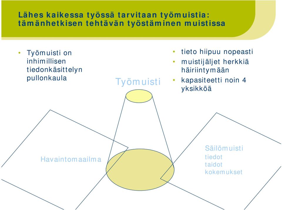 pullonkaula Työmuisti tieto hiipuu nopeasti muistijäljet herkkiä