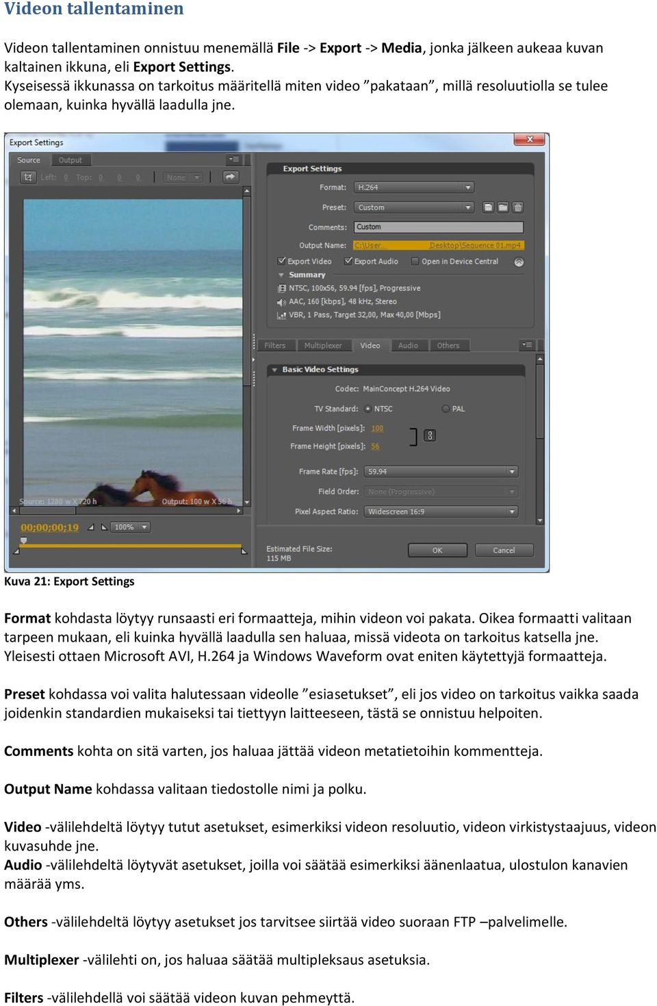 Kuva 21: Export Settings Format kohdasta löytyy runsaasti eri formaatteja, mihin videon voi pakata.