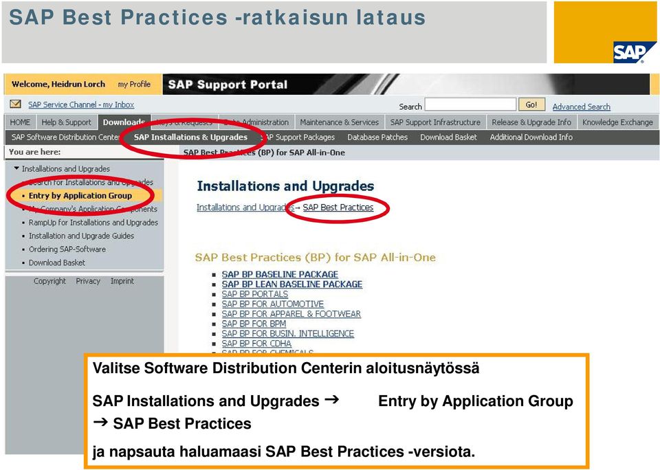 Upgrades Entry by Application Group SAP Best