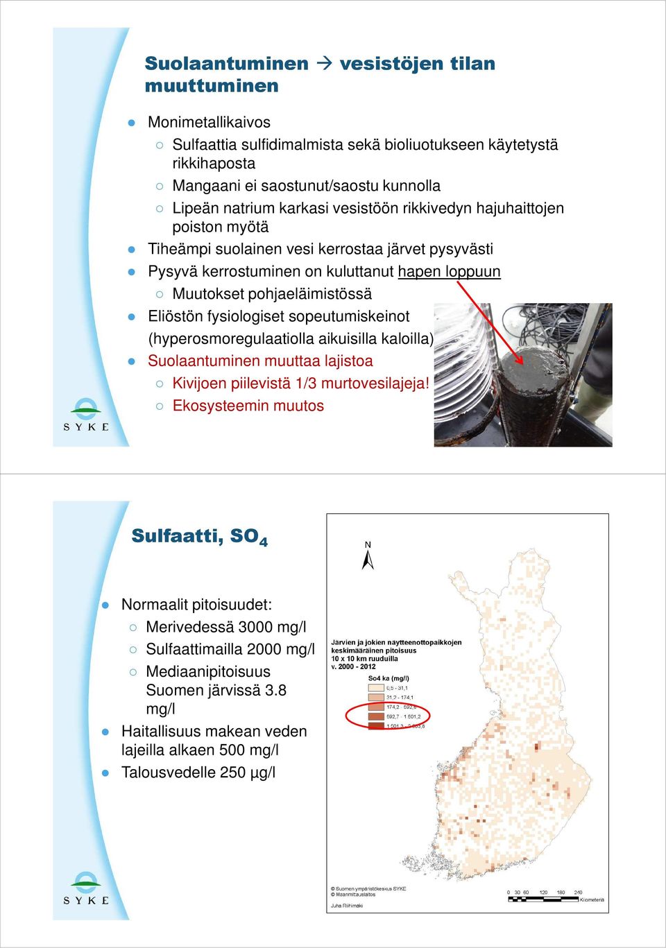 Eliöstön fysiologiset sopeutumiskeinot (hyperosmoregulaatiolla aikuisilla kaloilla) Suolaantuminen muuttaa lajistoa Kivijoen piilevistä 1/3 murtovesilajeja!