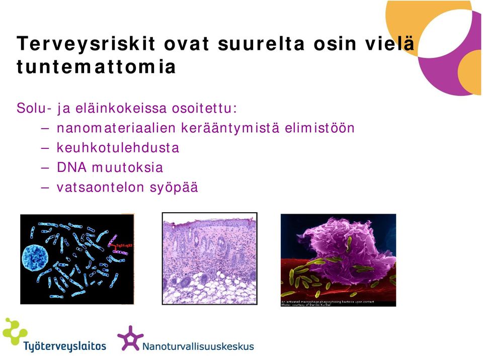 osoitettu: nanomateriaalien kerääntymistä