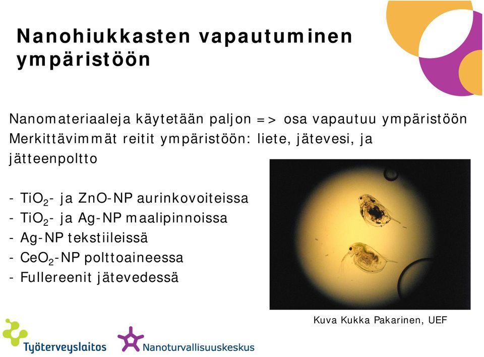 jätteenpoltto - TiO 2 - ja ZnO-NP aurinkovoiteissa - TiO 2 - ja Ag-NP maalipinnoissa