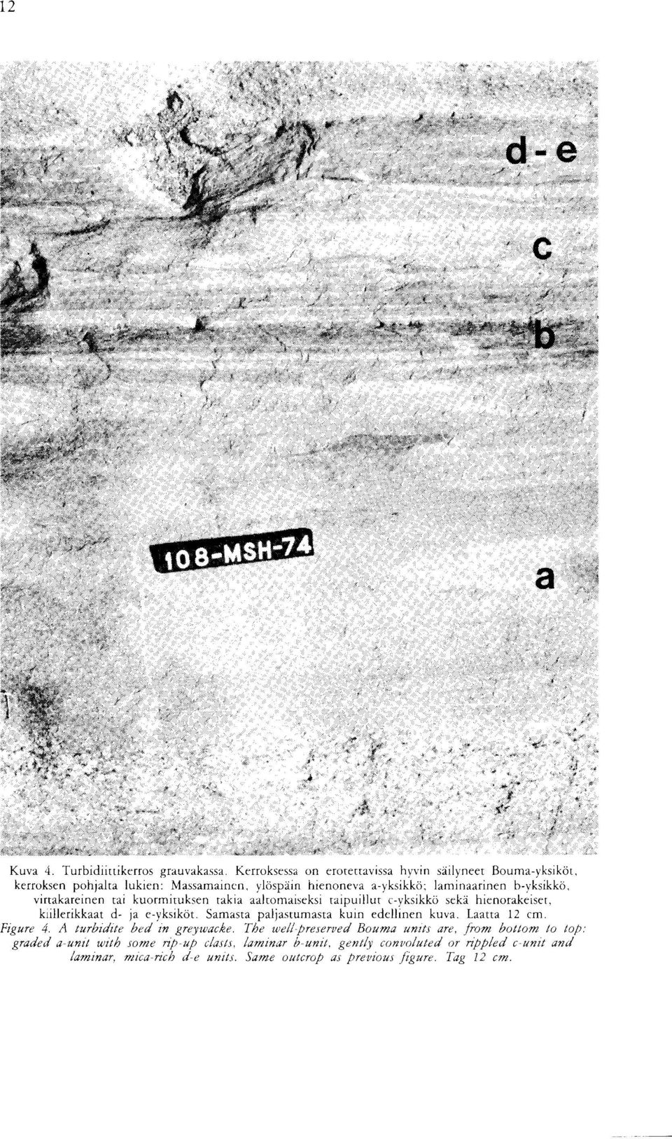 eyksikot Samasta paljastumasta kuin edellinen kuva Laatta 12 cm Figure 4 A turbidite bed in greywacke The wellpreserved Bouma units are, from bottom to top