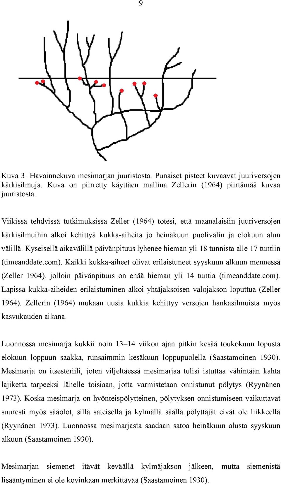 Kyseisellä ikvälillä päivänpituus lyhenee hiemn yli 18 tunnist lle 17 tuntiin (timenddte.com).