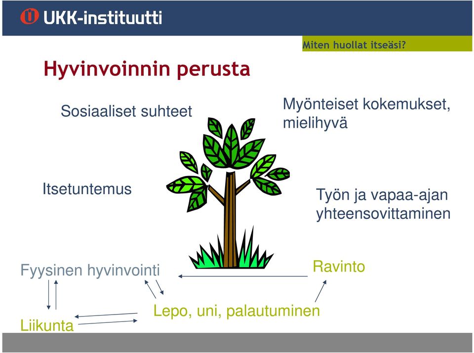 Myönteiset kokemukset, mielihyvä Itsetuntemus Työn