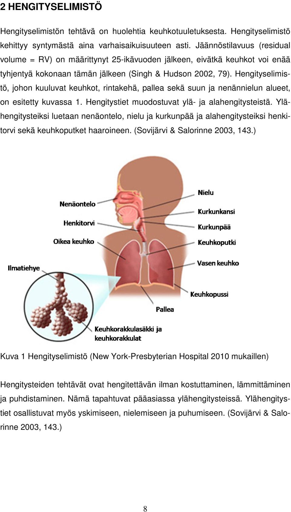 Hengityselimistö, johon kuuluvat keuhkot, rintakehä, pallea sekä suun ja nenännielun alueet, on esitetty kuvassa 1. Hengitystiet muodostuvat ylä- ja alahengitysteistä.