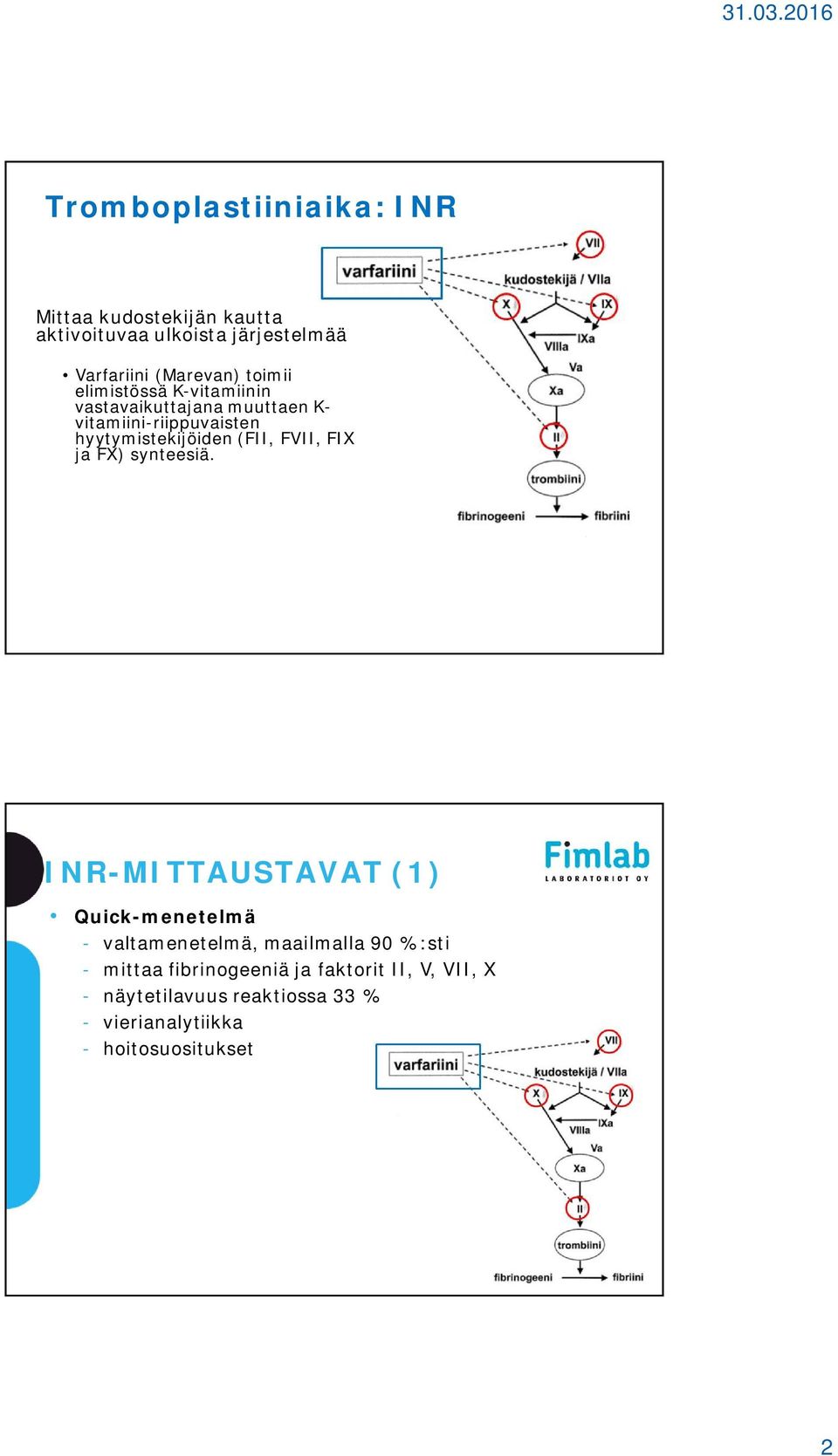 FVII, FIX ja FX) synteesiä.