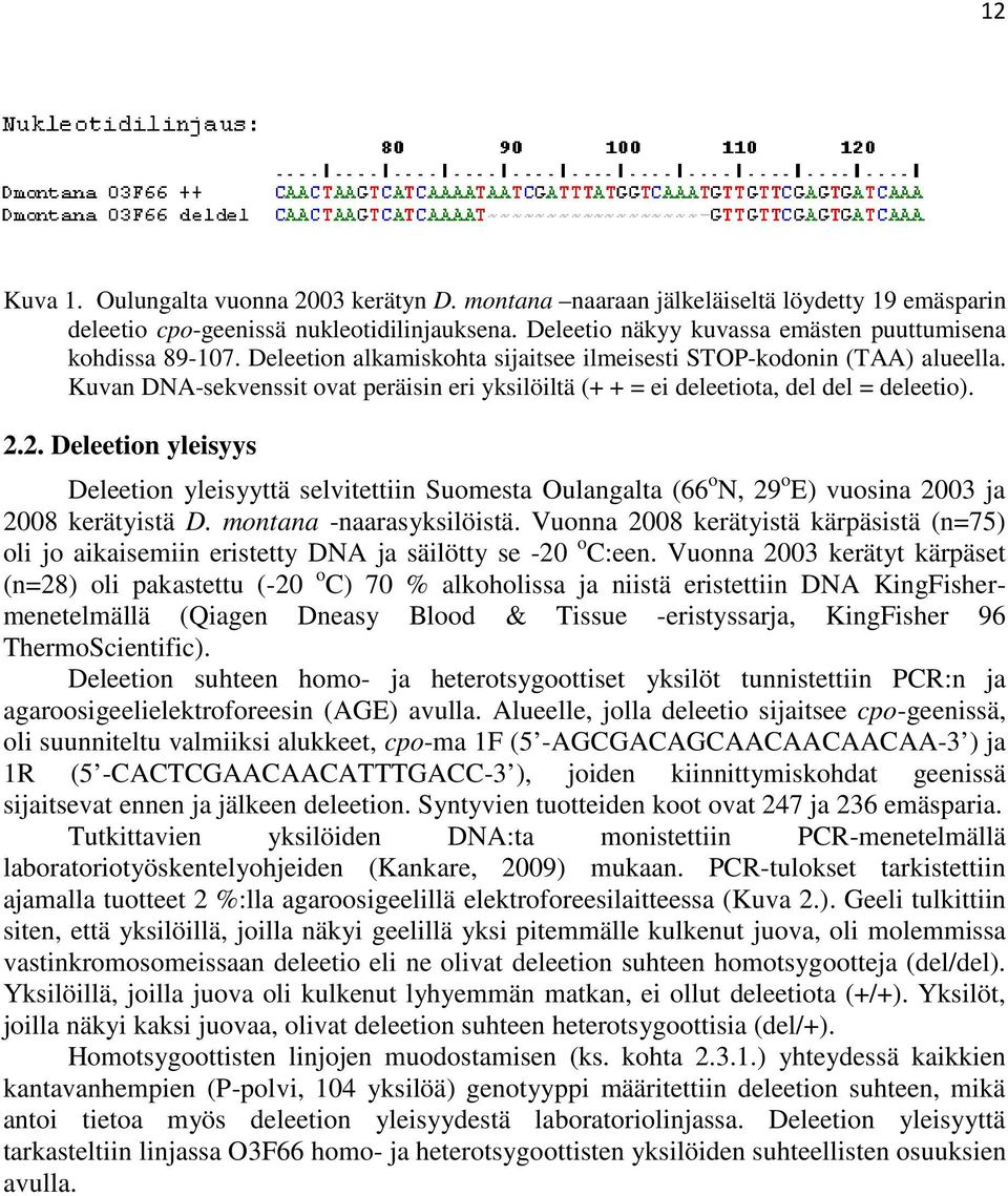 Kuvan DNA-sekvenssit ovat peräisin eri yksilöiltä (+ + = ei deleetiota, del del = deleetio). 2.