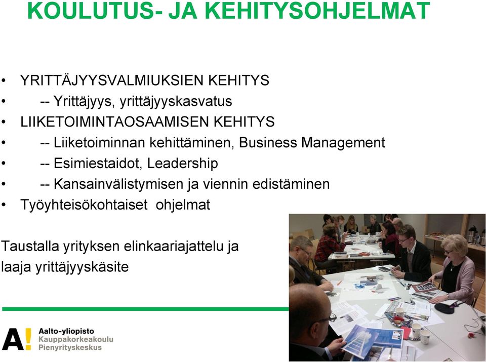 Business Management -- Esimiestaidot, Leadership -- Kansainvälistymisen ja viennin