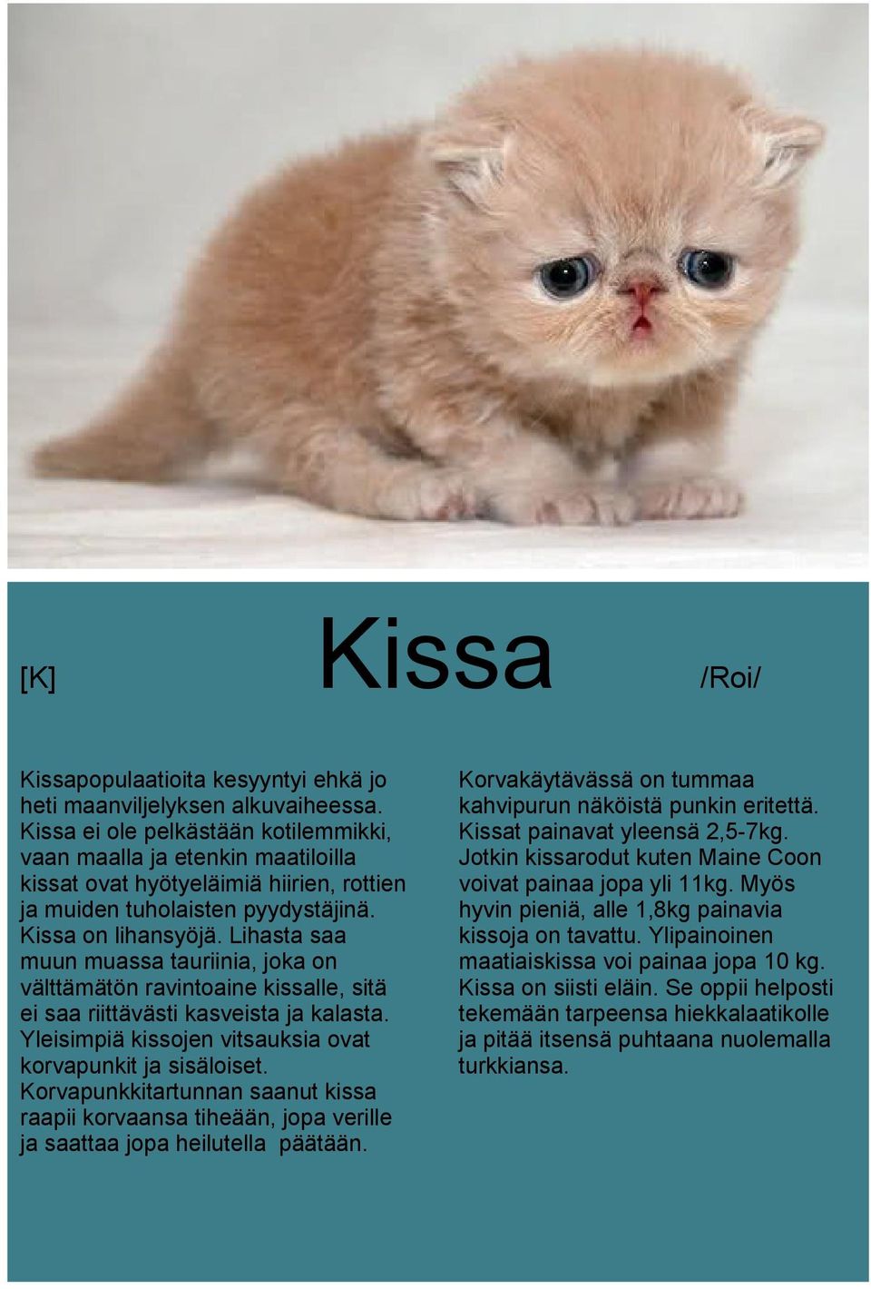 Lihasta saa muun muassa tauriinia, joka on välttämätön ravintoaine kissalle, sitä ei saa riittävästi kasveista ja kalasta. Yleisimpiä kissojen vitsauksia ovat korvapunkit ja sisäloiset.