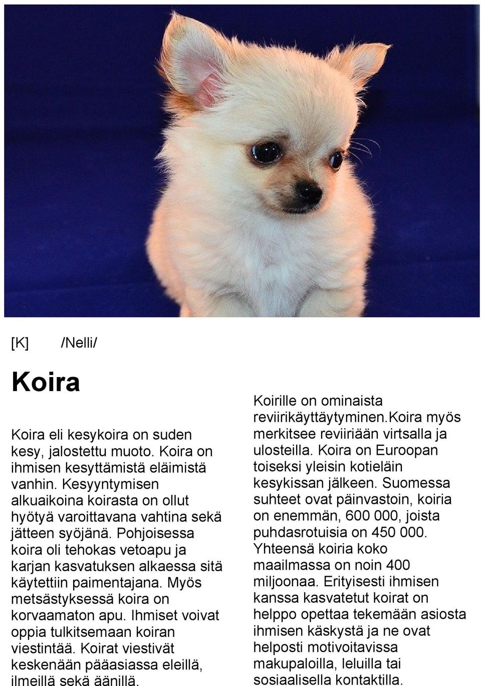 Myös metsästyksessä koira on korvaamaton apu. Ihmiset voivat oppia tulkitsemaan koiran viestintää. Koirat viestivät keskenään pääasiassa eleillä, ilmeillä sekä äänillä.