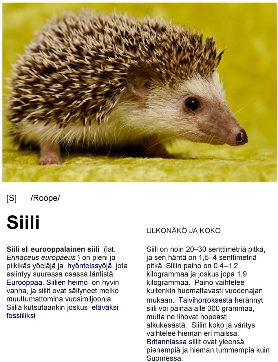 Siiliä kutsutaankin joskus eläväksi fossiiliksi ULKONÄKÖ JA KOKO Siili on noin 20 30 senttimetriä pitkä, ja sen häntä on 1,5 4 senttimetriä pitkä.
