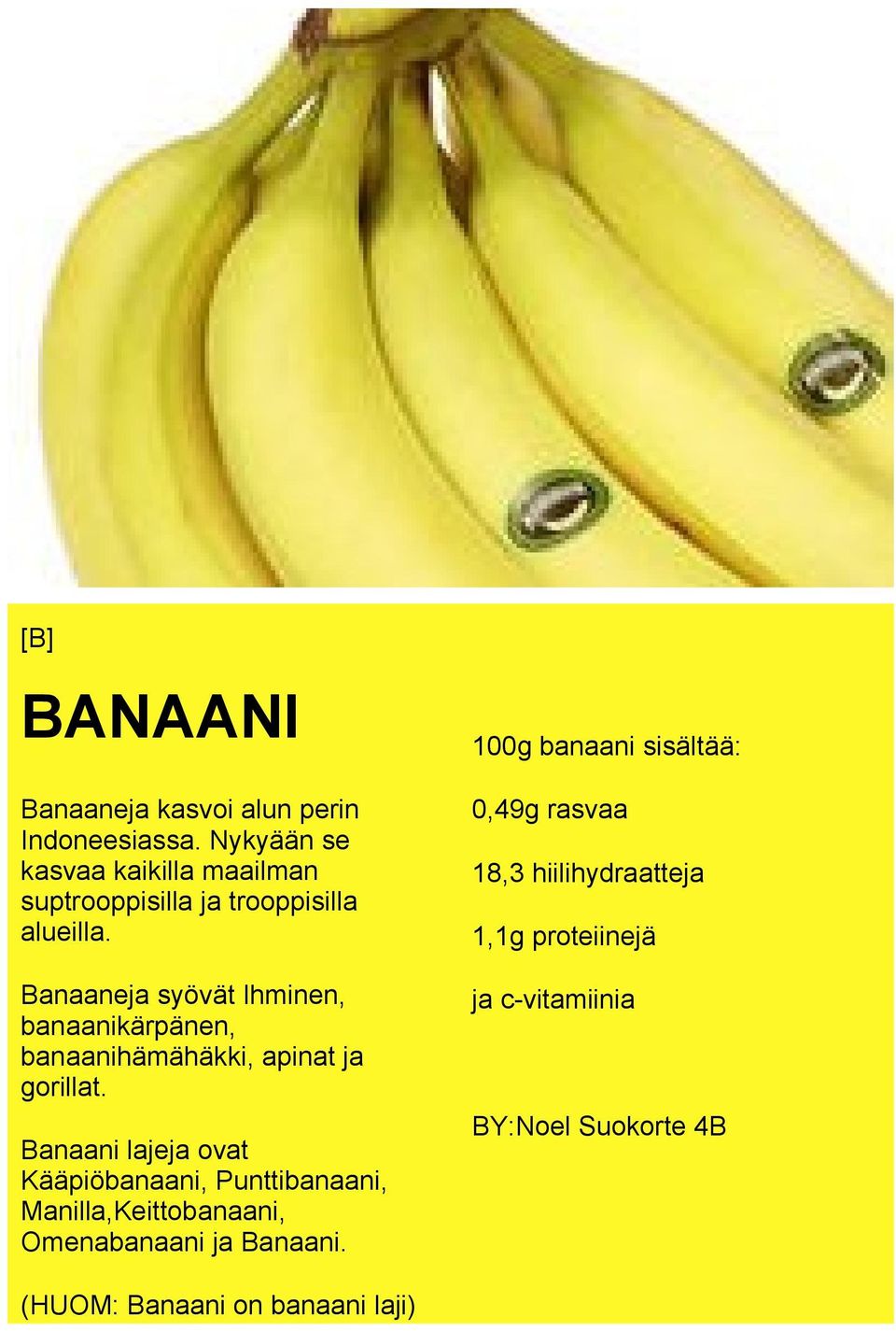 0,49g rasvaa Banaaneja syövät Ihminen, banaanikärpänen, banaanihämähäkki, apinat ja gorillat.