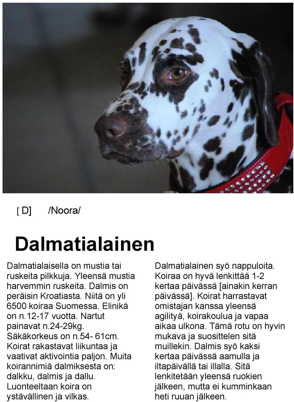 Luonteeltaan koira on ystävällinen ja vilkas. Dalmatialainen syö nappuloita. Koiraa on hyvä lenkittää 1-2 kertaa päivässä [ainakin kerran päivässä].