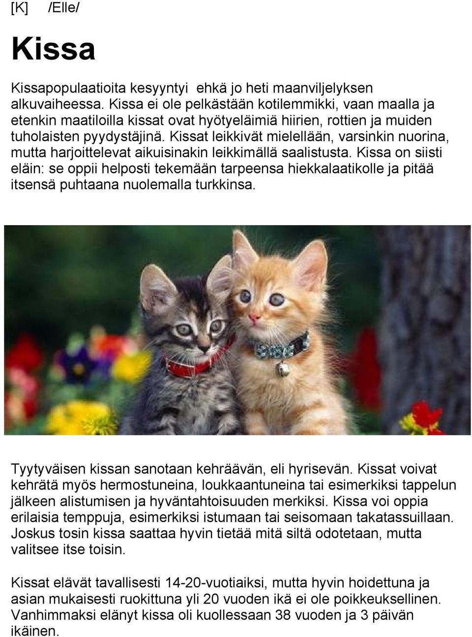 Kissat leikkivät mielellään, varsinkin nuorina, mutta harjoittelevat aikuisinakin leikkimällä saalistusta.