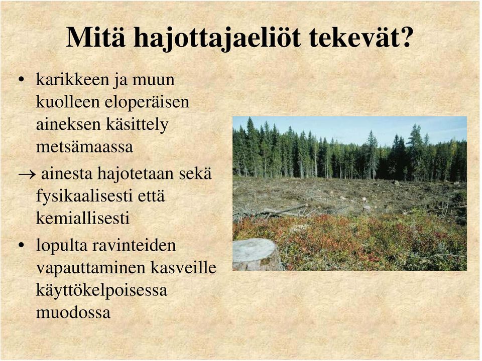 käsittely metsämaassa ainesta hajotetaan sekä