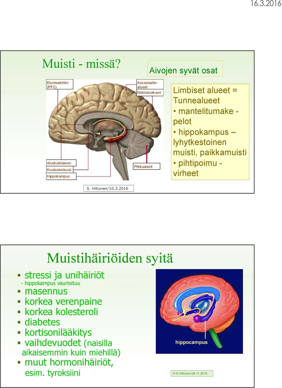 2016 Näköaivokuori Pikkuaivot Limbiset alueet = Tunnealueet mantelitumake - pelot hippokampus lyhytkestoinen muisti, paikkamuisti pihtipoimu -