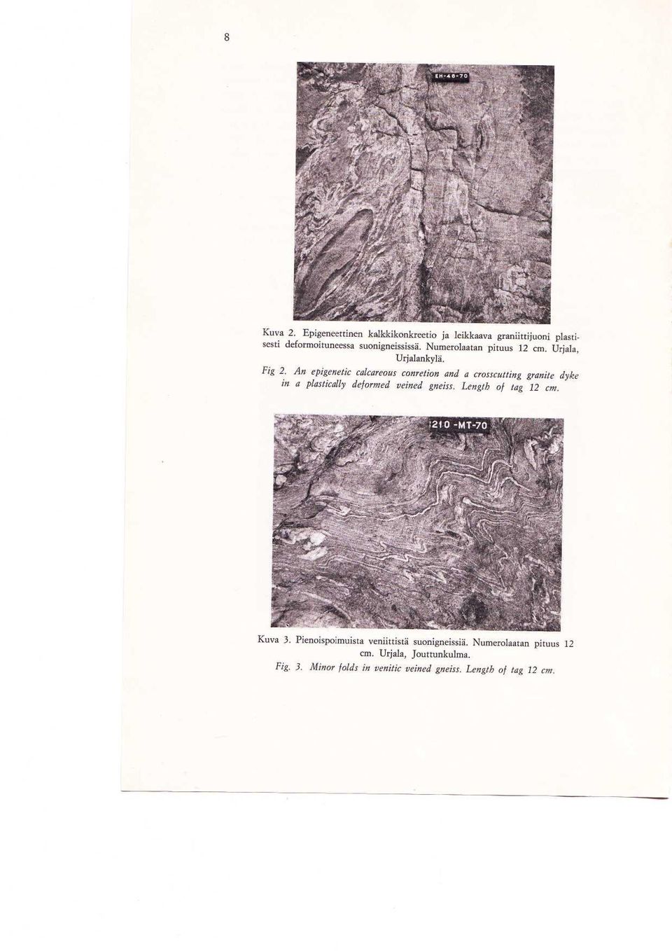 An epigenetic calcareous conretion and a crosscutting granite dyke in a plastically deformed veined gneiss.