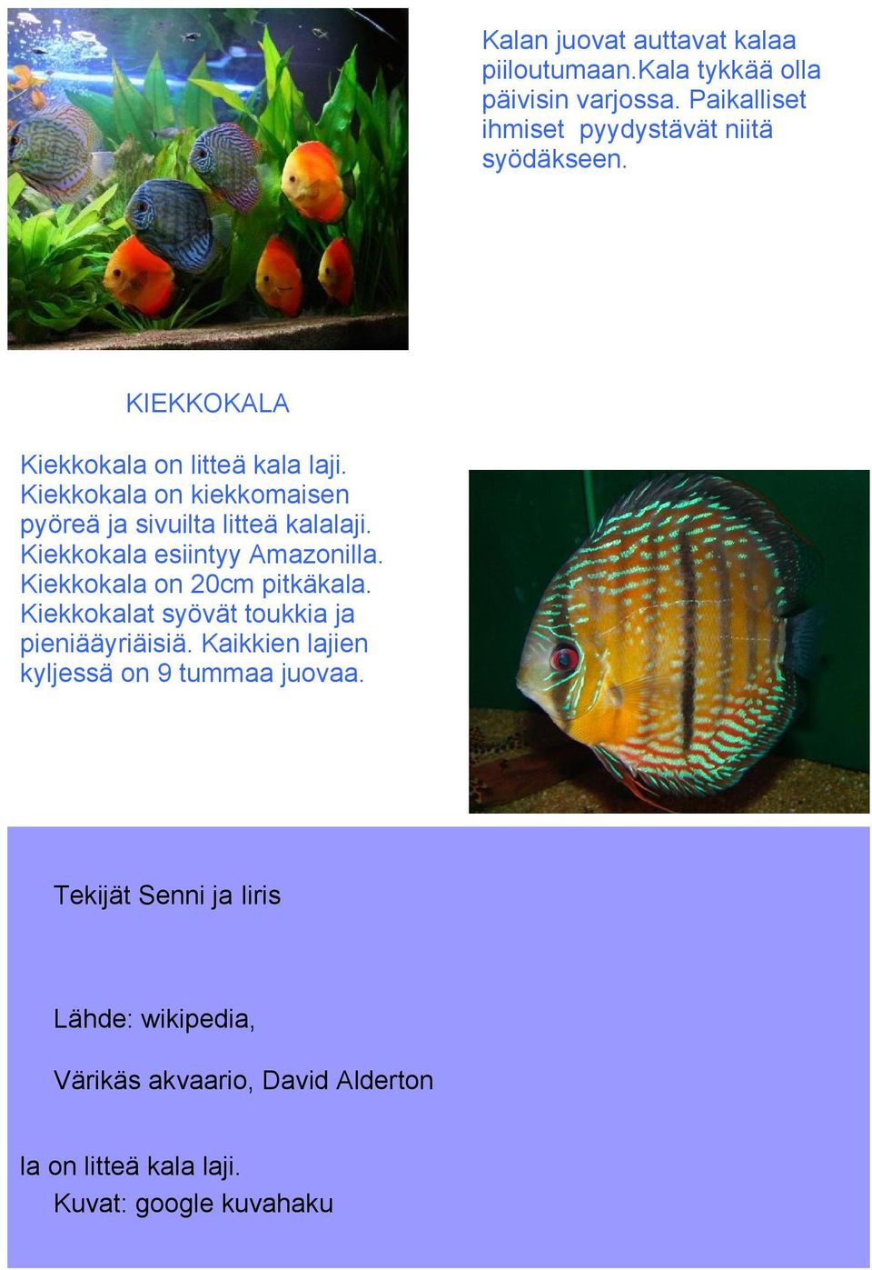 Kiekkokala esiintyy Amazonilla. Kiekkokala on 20cm pitkäkala. Kiekkokalat syövät toukkia ja pieniääyriäisiä.