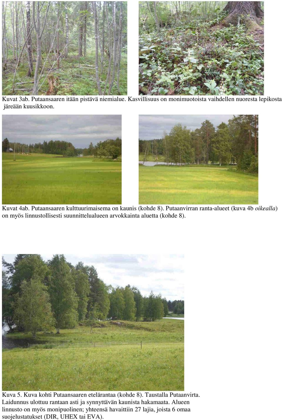 Putaanvirran ranta-alueet (kuva 4b oikealla) on myös linnustollisesti suunnittelualueen arvokkainta aluetta (kohde 8). Kuva 5.