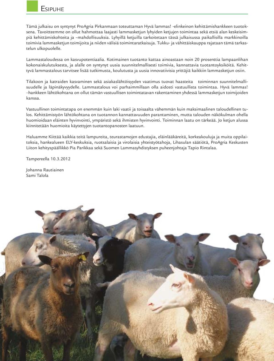 Lyhyillä ketjuilla tarkoitetaan tässä julkaisussa paikallisilla markkinoilla toimivia lammasketjun toimijoita ja niiden välisiä toimintaratkaisuja.