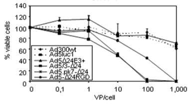 CD8+ 0 17 41 48 3. Induction of cytotoxic T-cells against tumors 4.