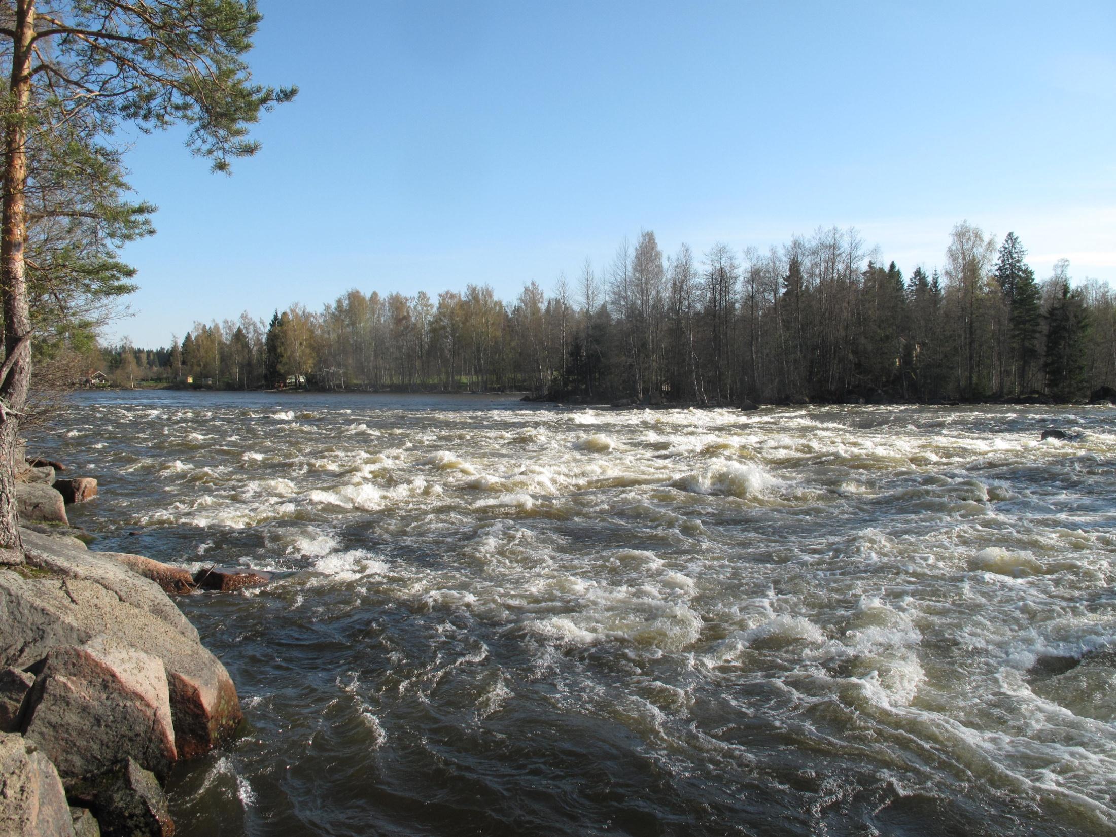 Hankkeessa laadittu VISIO Kymijoelle: HYVINVOINTIA ELINVOIMAISISTA VAELLUSKALAKANNOISTA Kymijoki on Suomenlahden ja Etelä-Suomen merkittävin lohijoki ja tärkeä hyvinvoinnin lähde.