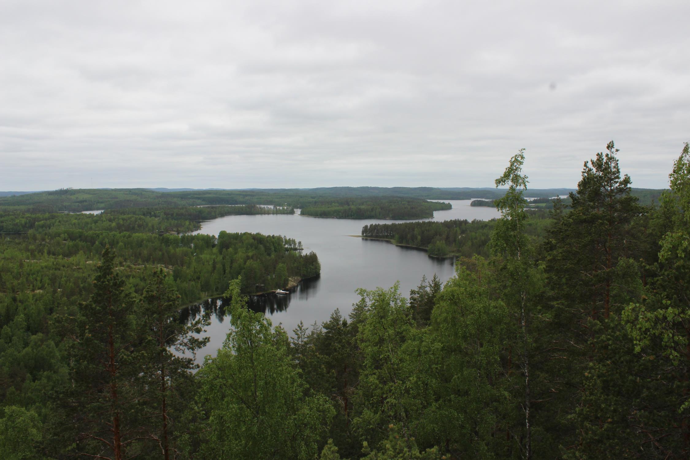 Kysymyksiä: 1. Kuinka metsänomistaja kokee keruualueiden luomusertifioinnin ja miten sitä voi metsänomistaja itse hyödyntää? 2.