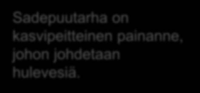 Sadepuutarha on kasvipeitteinen painanne, johon johdetaan hulevesiä.