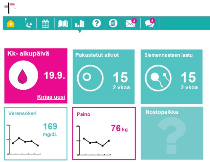 POTILAAN YHTEENVETONÄKYMÄ Esimerkkinä